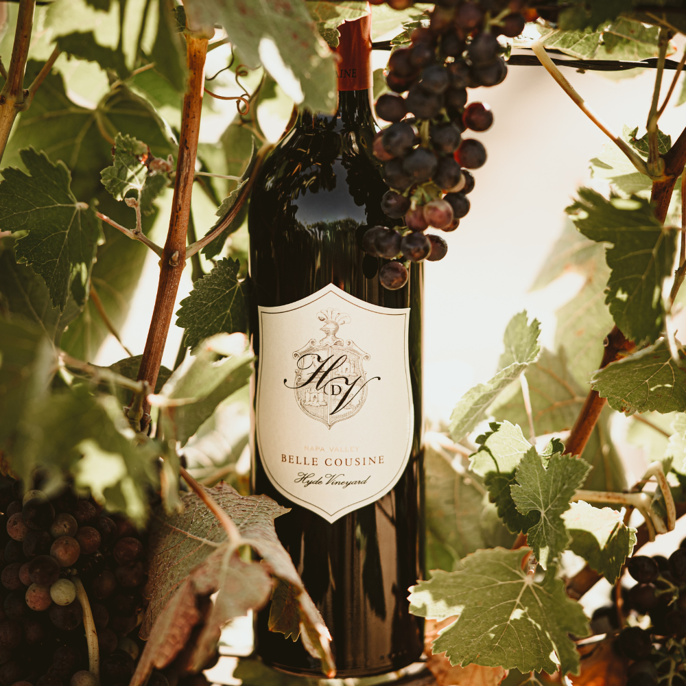 HdV Belle Cousine 750ml Napa Valley Red Wine - Grand Vin Pte Ltd