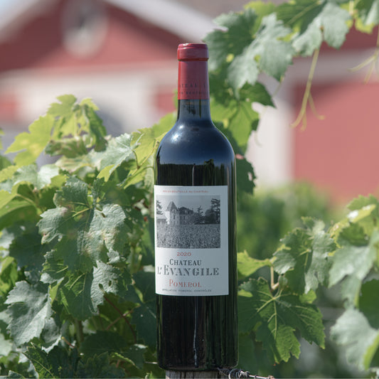 L'Evangile bottle shot in vineyard - Bordeaux Red Wine