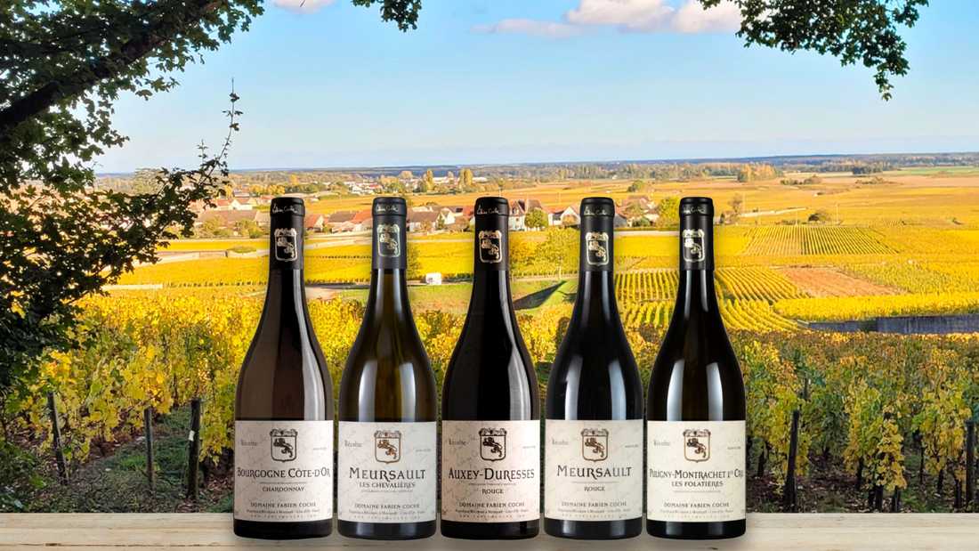 Meursault From Fabien Coche