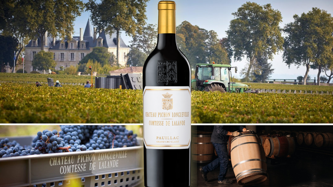 Pichon Lalande: How this "Super Second" is winning against First Growths