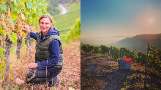 Female Winemakers Part 3 Nahe - Schlossgut Diel