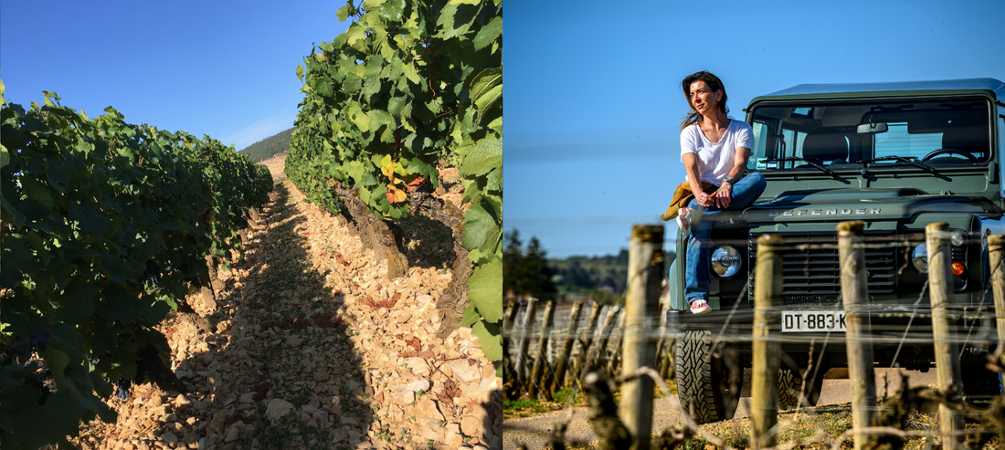 Female Winemakers Part 1 Burgundy - Domaine Marc Roy