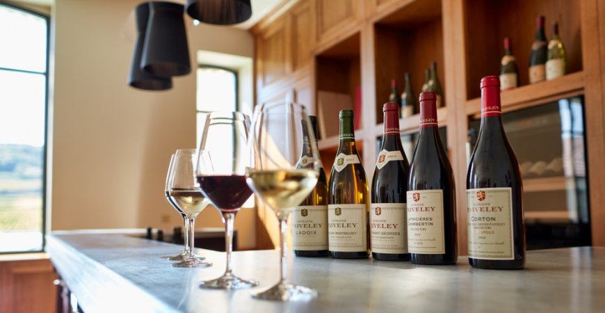 Why Are Fine Wines So Expensive? - Grand Vin Pte Ltd