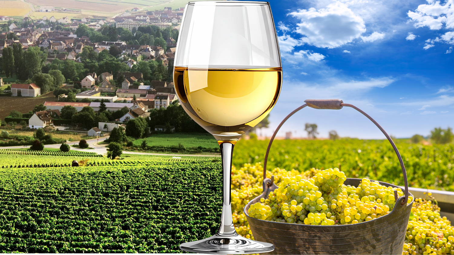 Before it was a wine, it was a village... Happy Chardonnay Day!