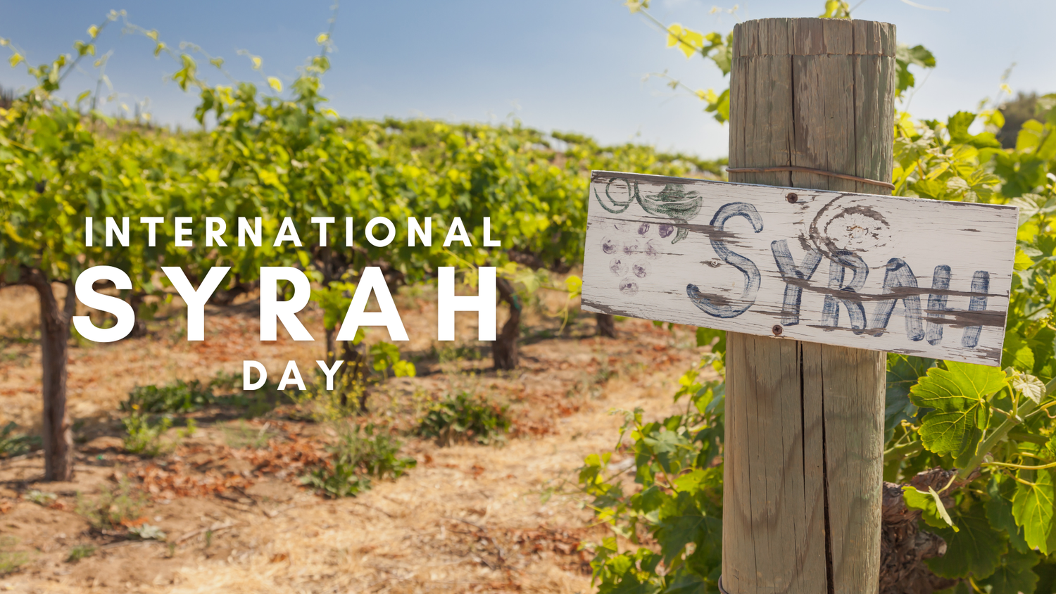 Syrah: From Rhône to the World