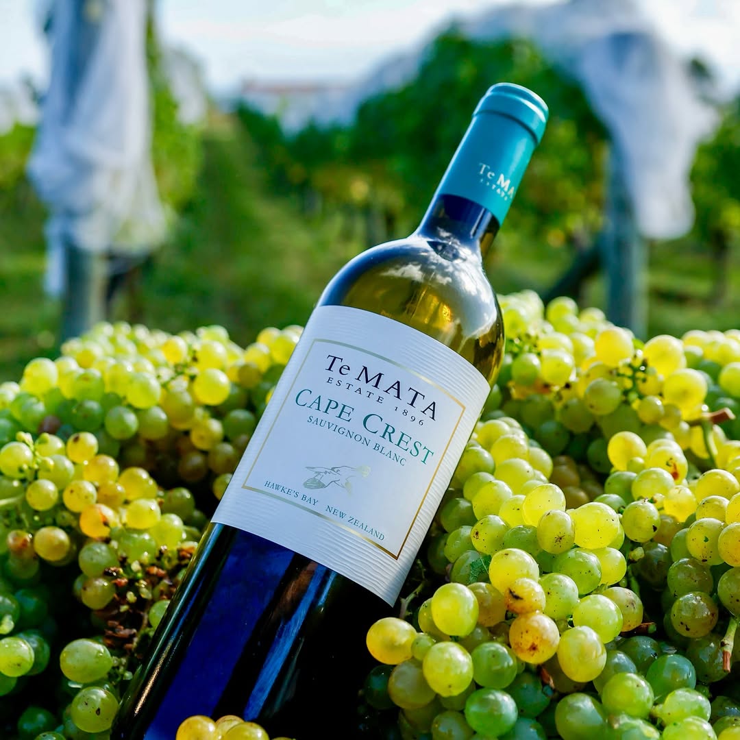 Sauvignon Blanc Day: Keep It Pure or Go Bordeaux Style Blend?