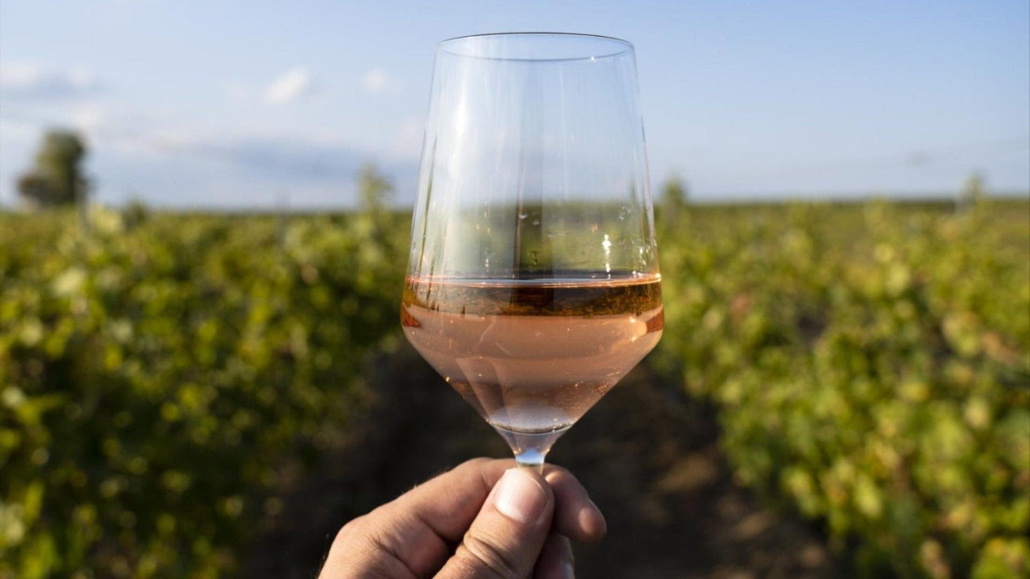 Not All Pink Wines Are Created Equal