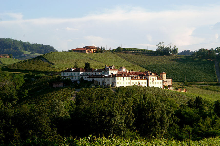The Conterno Legacy in the World of Barolo