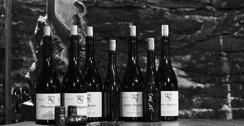 Fabien Coche's Exceptional 2022 Vintage Collection