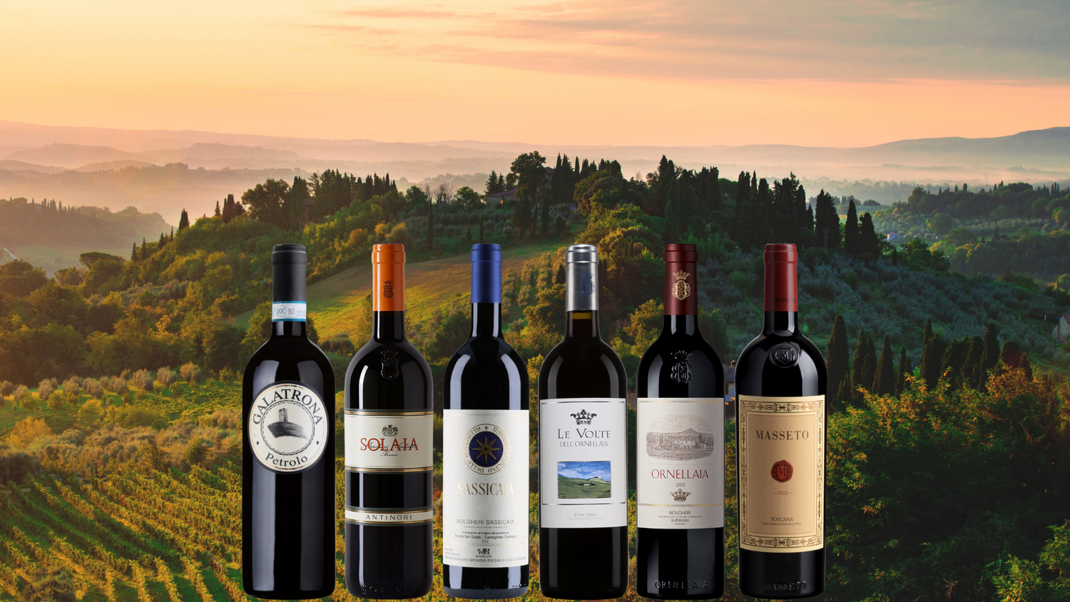 Super Tuscan - Italy’s Modern Wine Revolution