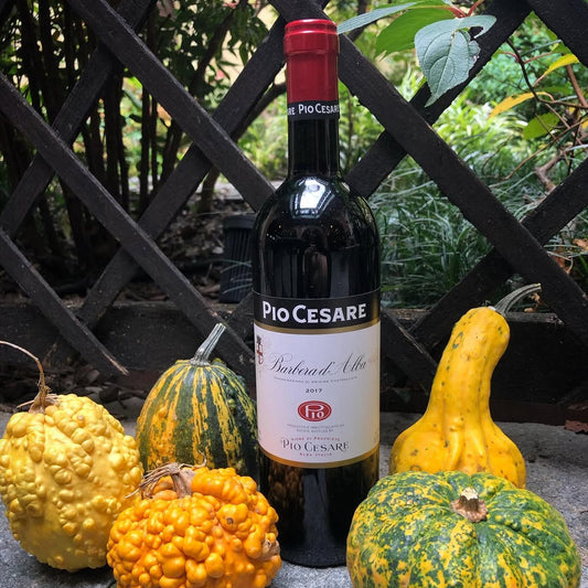 Pio Cesare Barbera d'Alba DOC Pio Cesare Barbera d'Alba DOC