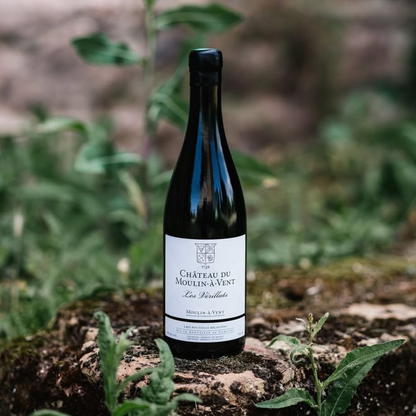 Chateau du Moulin-A-Vent Les Vérillats