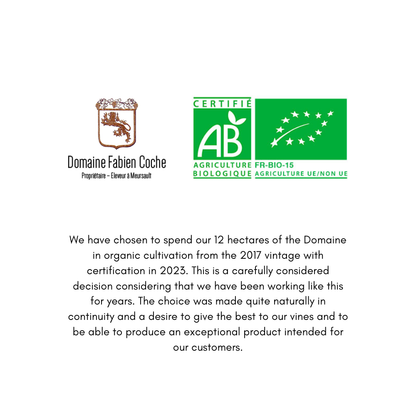 Fabien Coche Bourgogne Pinot Noir