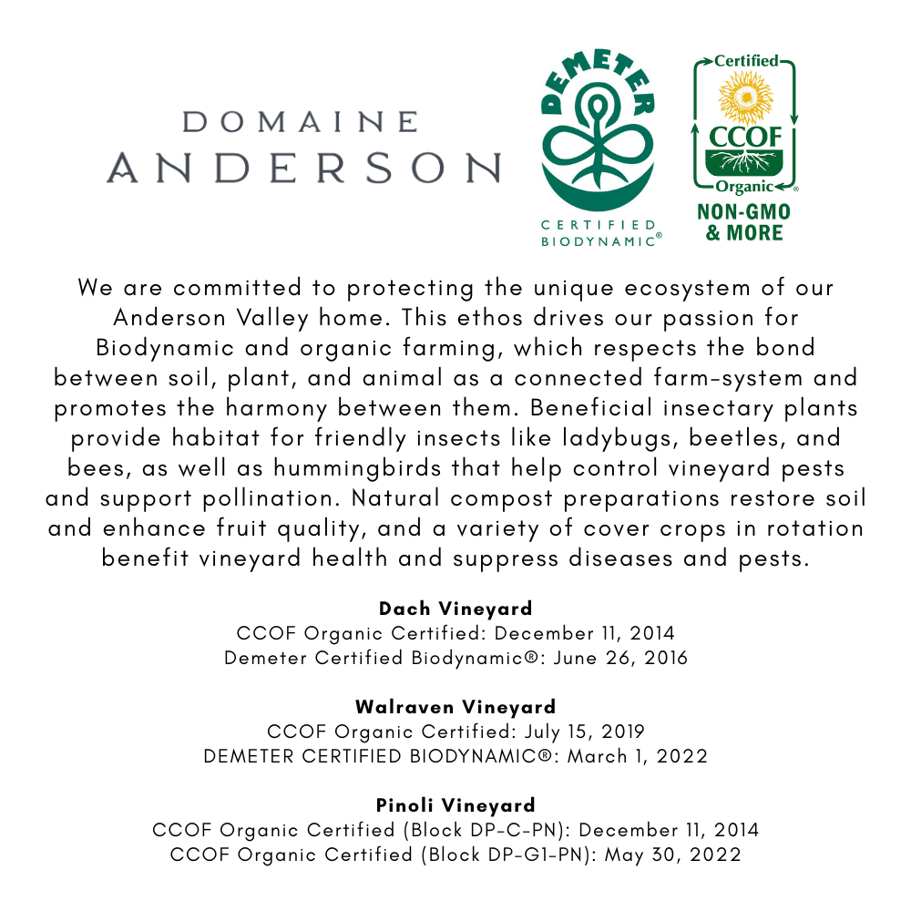 Domaine Anderson Pinot Noir Dach