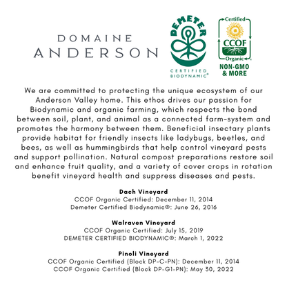 Domaine Anderson Pinot Noir Dach