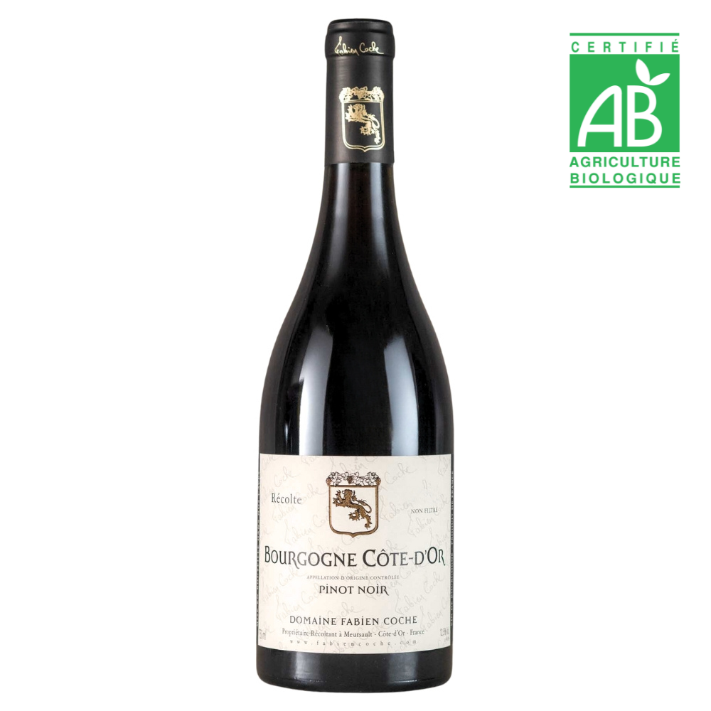 Domaine Fabien Coche Bourgogne Pinot Noir 750ml Burgundy Red Wine - Grand Vin Pte Ltd