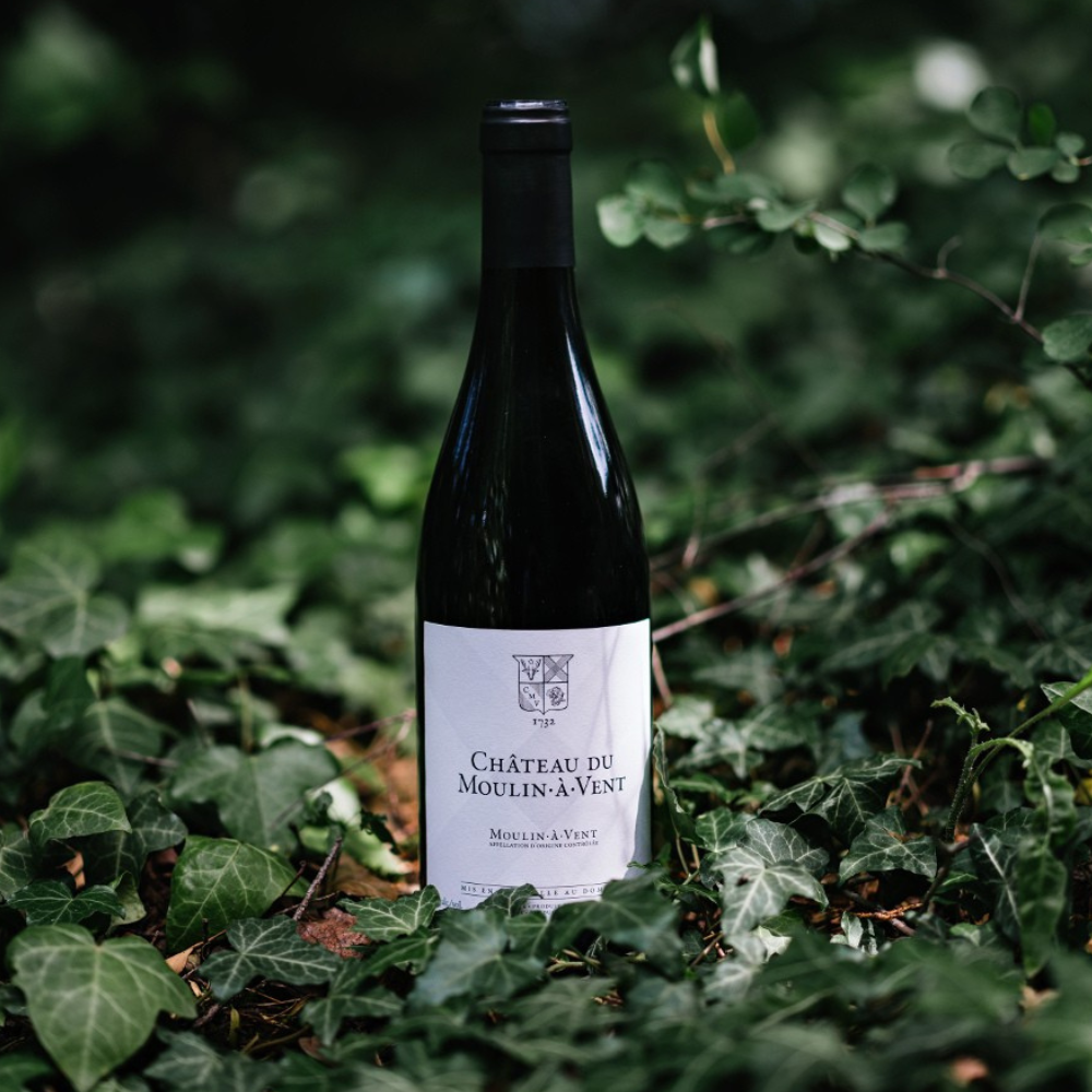 Chateau du Moulin-A-Vent Moulin-A-Vent 750ml Beaujolais Red Wine - Grand Vin Pte Ltd