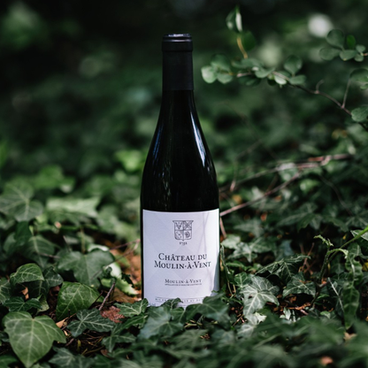 Chateau du Moulin-A-Vent Moulin-A-Vent 750ml Beaujolais Red Wine - Grand Vin Pte Ltd
