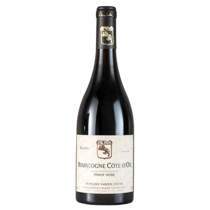 Domaine Fabien Coche Bourgogne Pinot Noir 750ml Burgundy Red Wine - Grand Vin Pte Ltd
