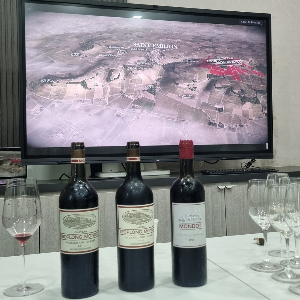Troplong Mondot and Mondot Wines